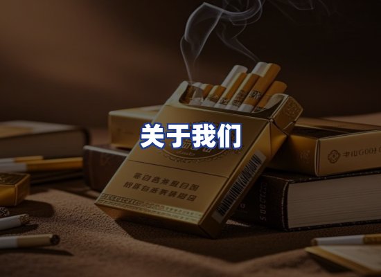 专业团队